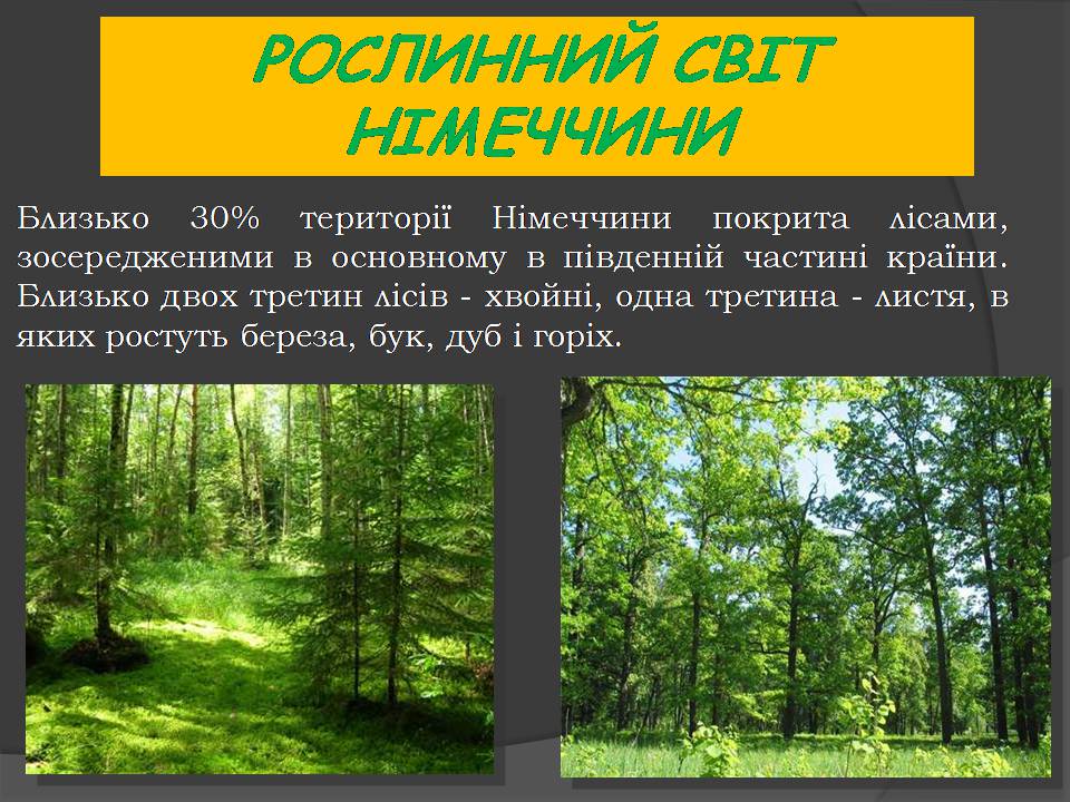 Презентація на тему «Німеччина» (варіант 26) - Слайд #8