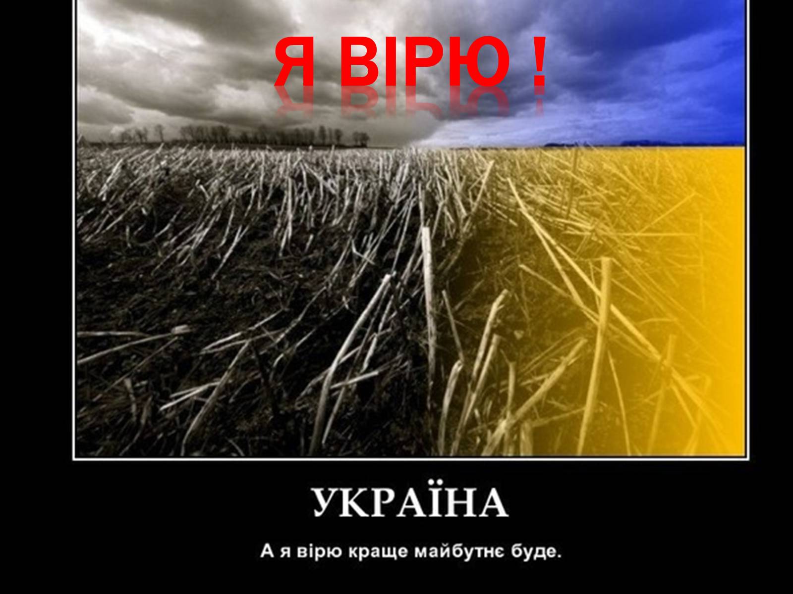 Презентація на тему «Сучасне і майбутнє Сумщини» - Слайд #12