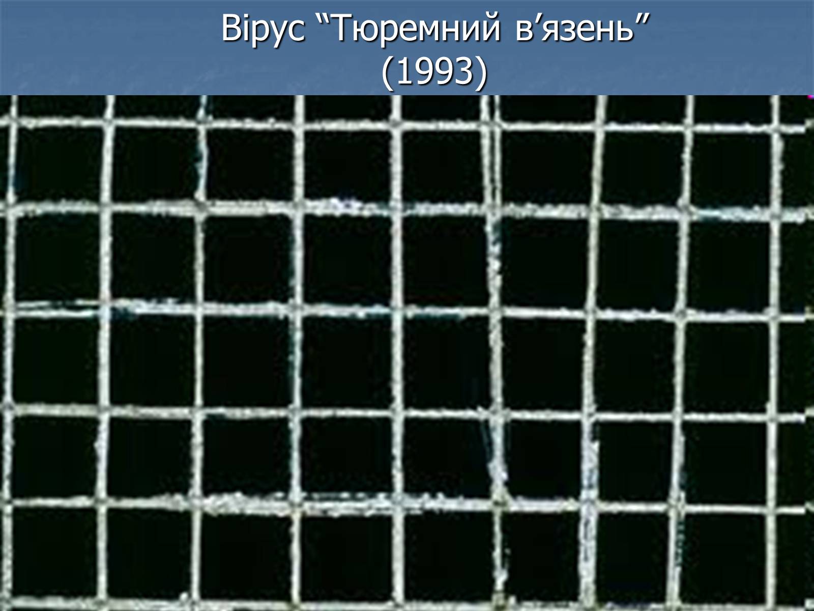 Презентація на тему «Цікаві комп&#8217;ютерні віруси» - Слайд #8