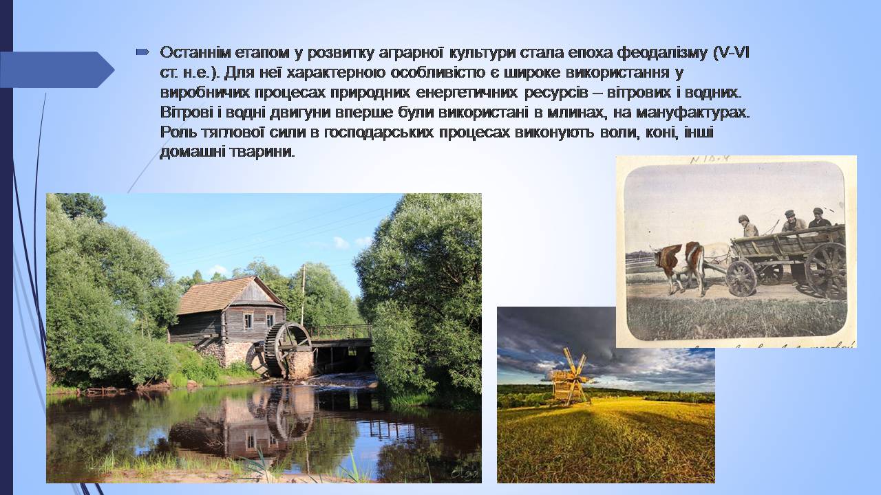 Презентація на тему «Етапи взаємодії суспільства і природи та їхні екологічні особливості» - Слайд #10