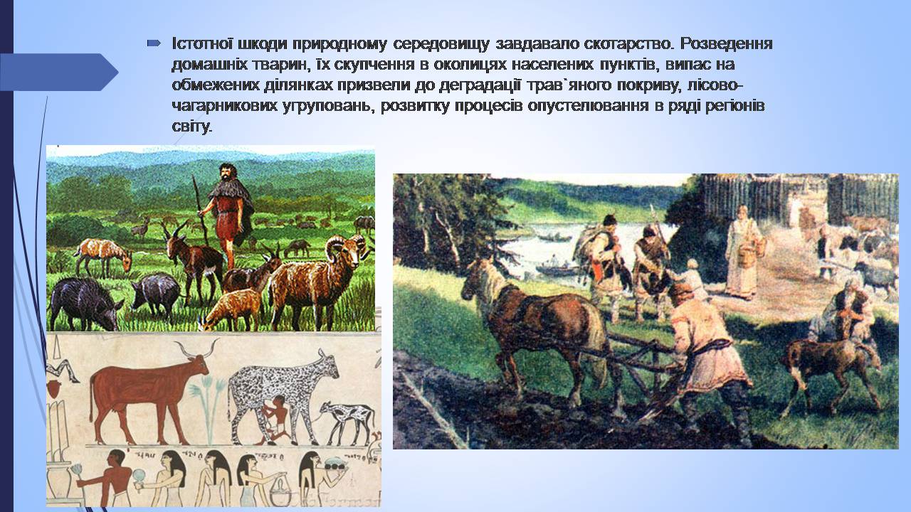 Презентація на тему «Етапи взаємодії суспільства і природи та їхні екологічні особливості» - Слайд #9