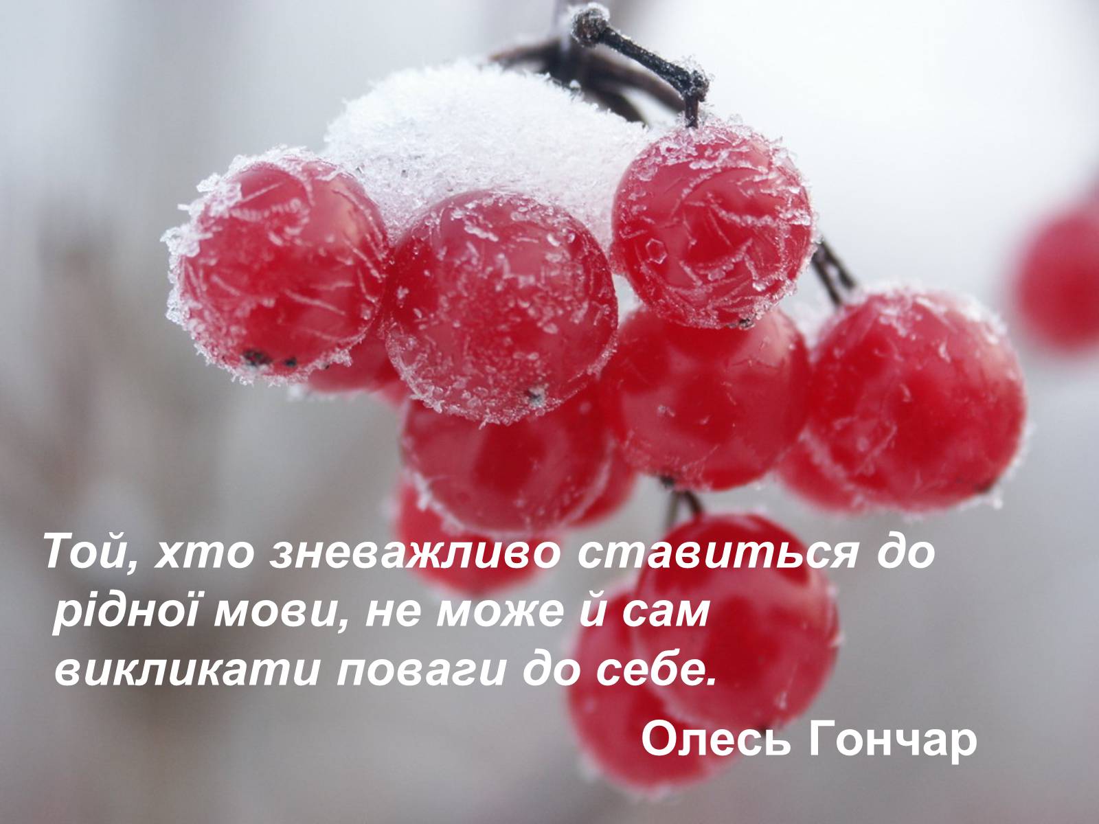 Презентація на тему «День української писемності та мови» - Слайд #17