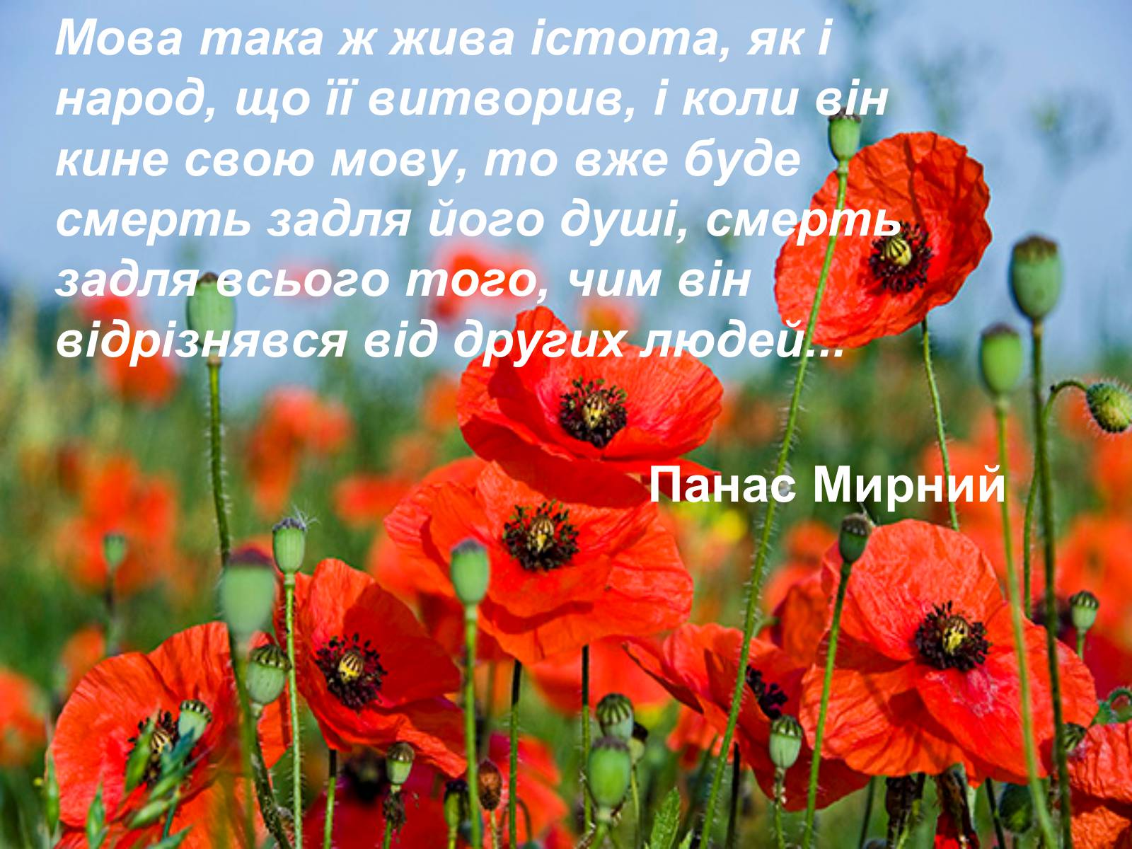 Презентація на тему «День української писемності та мови» - Слайд #19