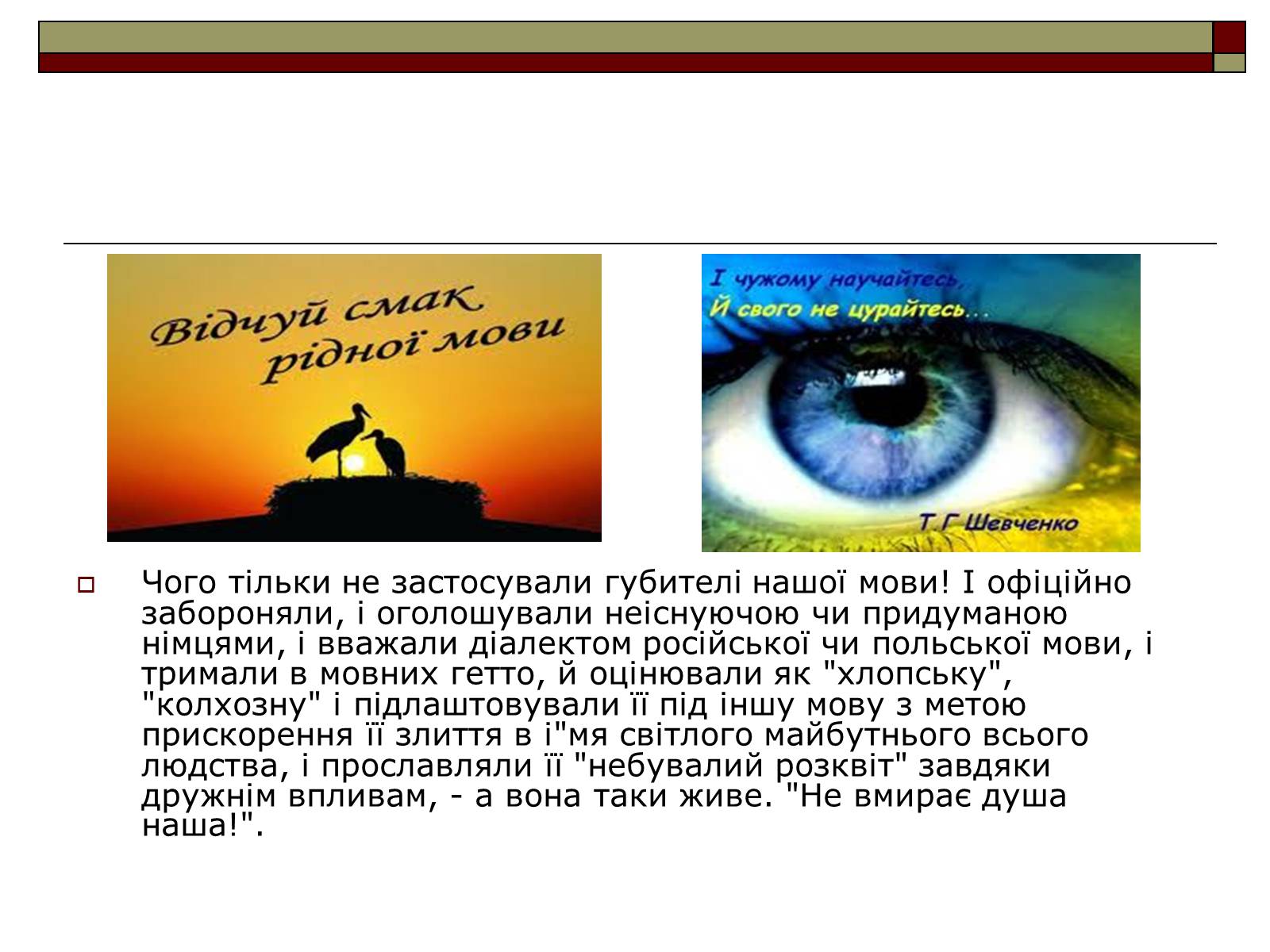 Презентація на тему «Українська мова» (варіант 2) - Слайд #10