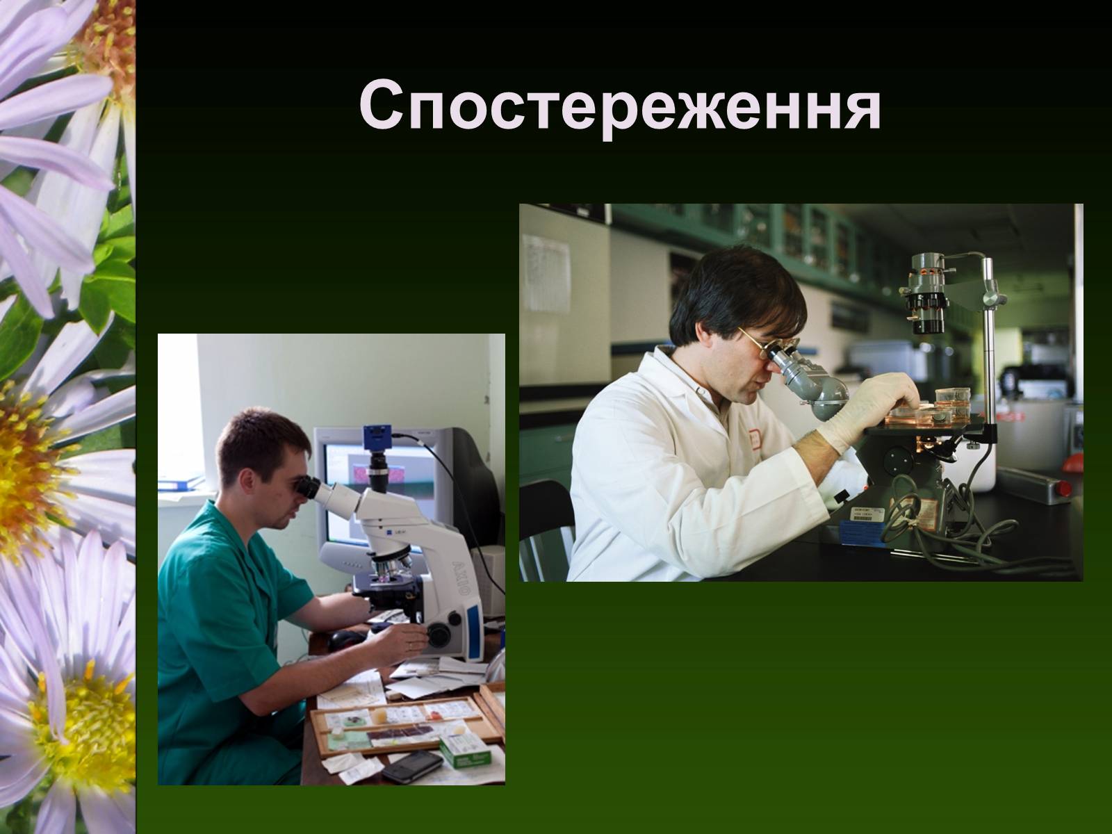 Презентація на тему «Екологія як наука про довкілля» (варіант 2) - Слайд #12