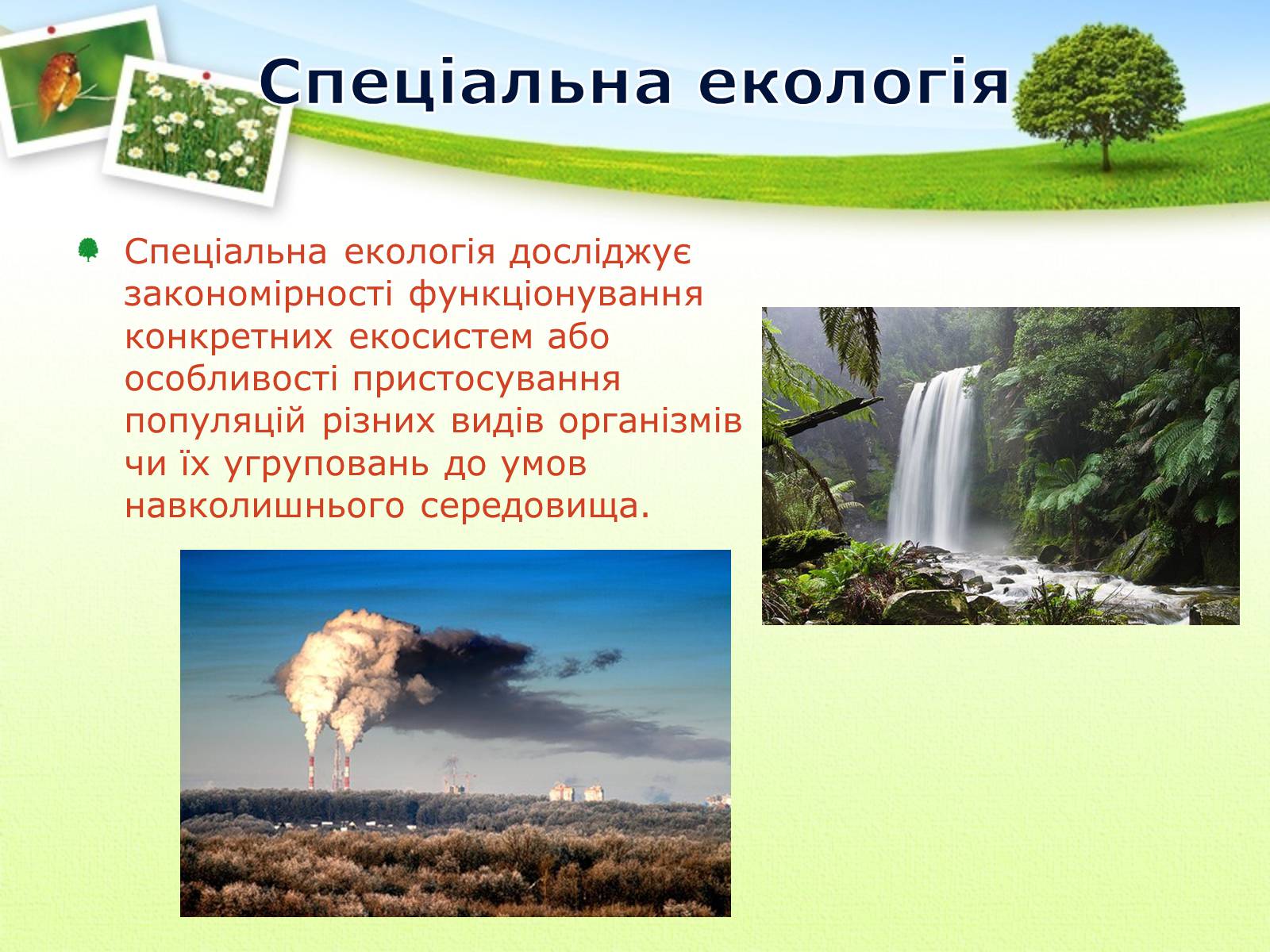 Презентація на тему «Екологія як наука про довкілля» (варіант 2) - Слайд #18