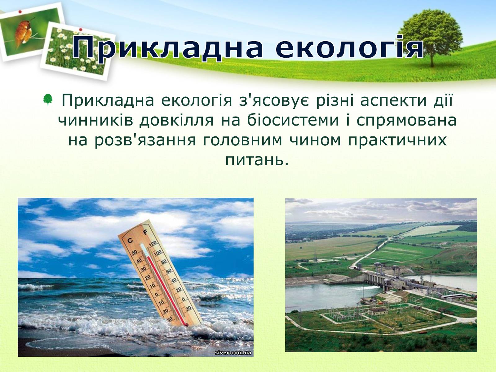 Презентація на тему «Екологія як наука про довкілля» (варіант 2) - Слайд #19