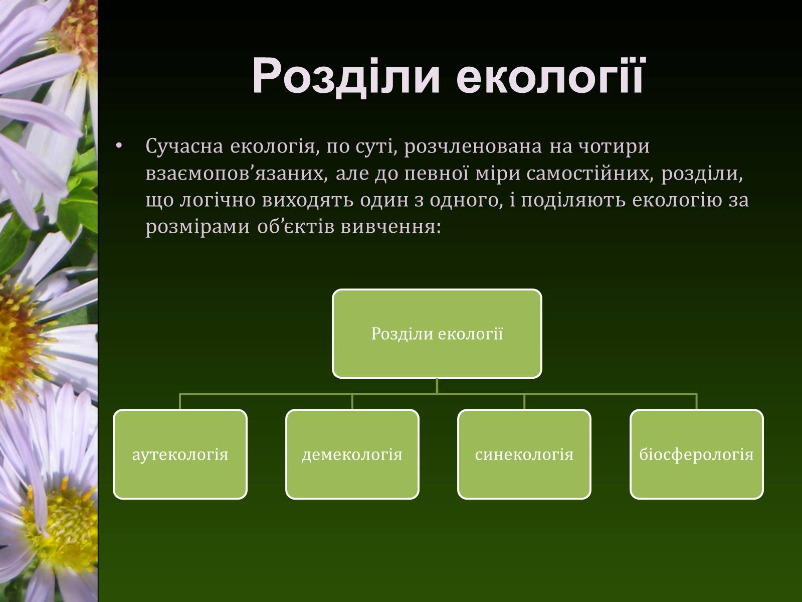 Презентація на тему «Екологія як наука про довкілля» (варіант 2) - Слайд #21