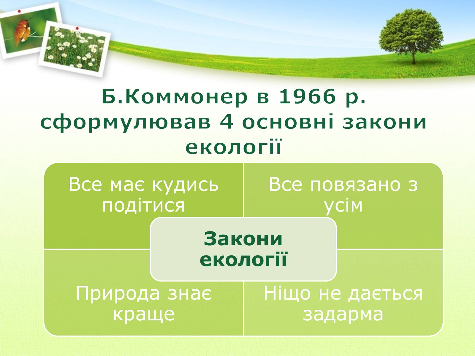 Презентація на тему «Екологія як наука про довкілля» (варіант 2) - Слайд #26