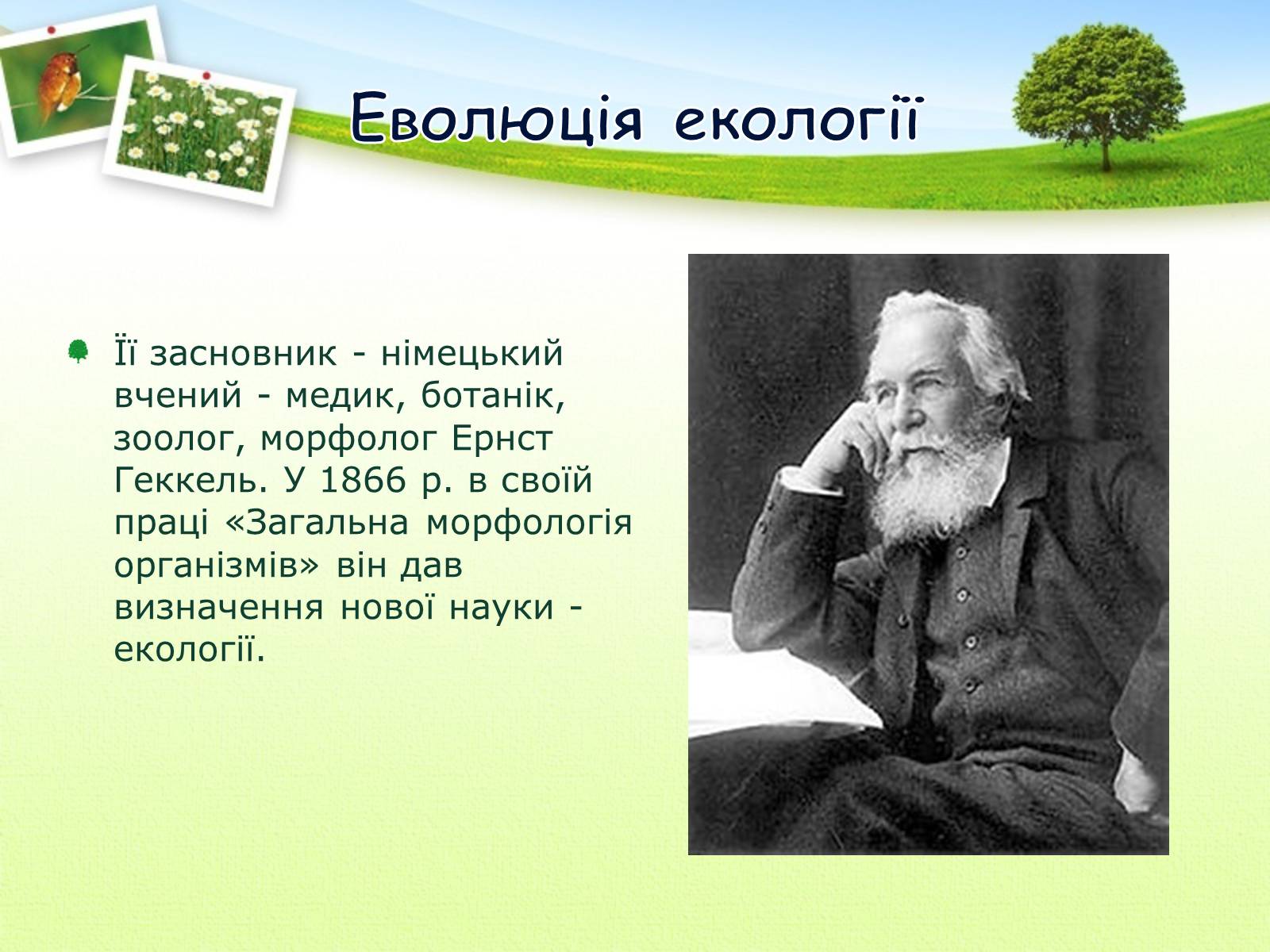 Презентація на тему «Екологія як наука про довкілля» (варіант 2) - Слайд #4