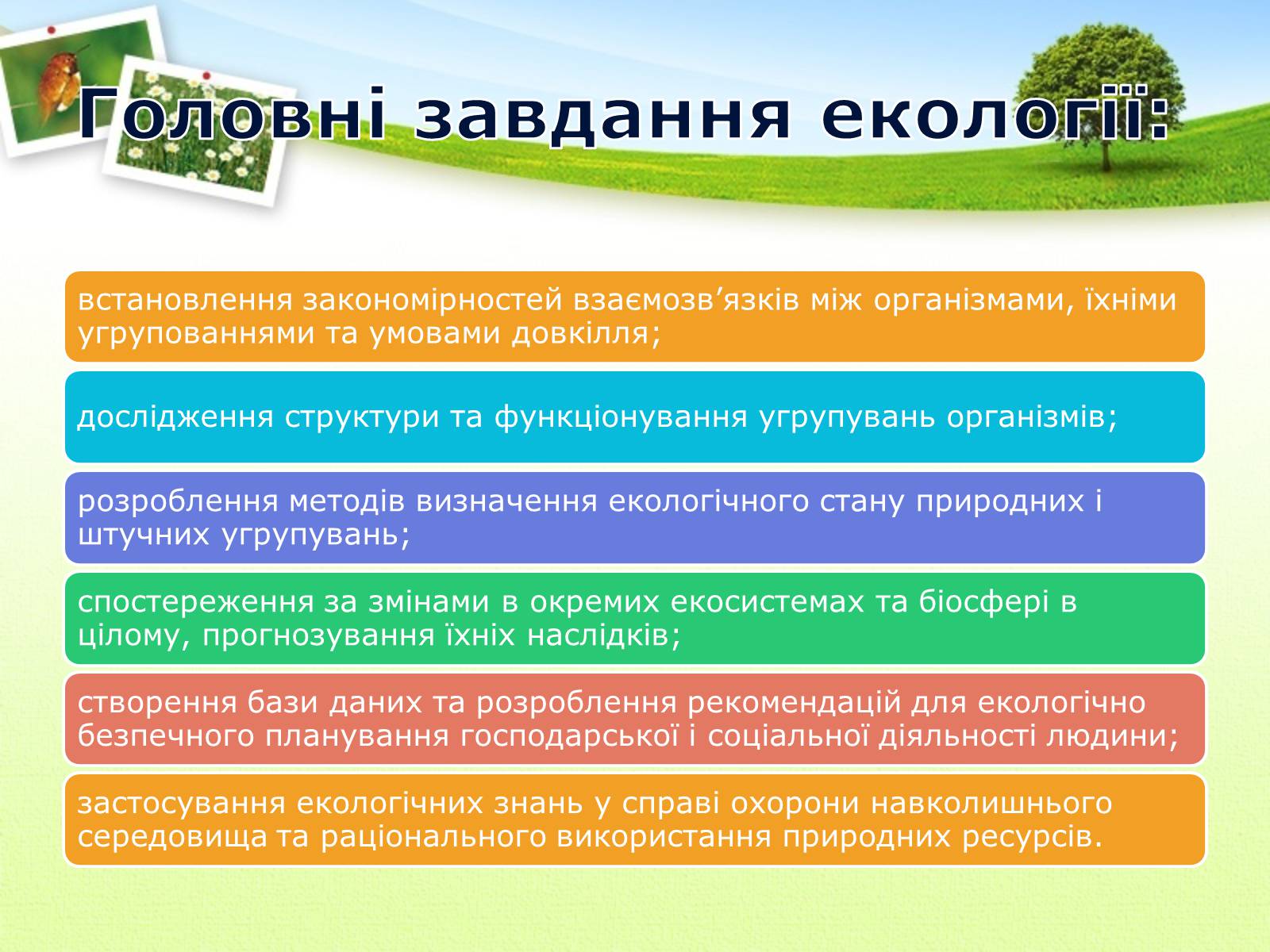 Презентація на тему «Екологія як наука про довкілля» (варіант 2) - Слайд #9