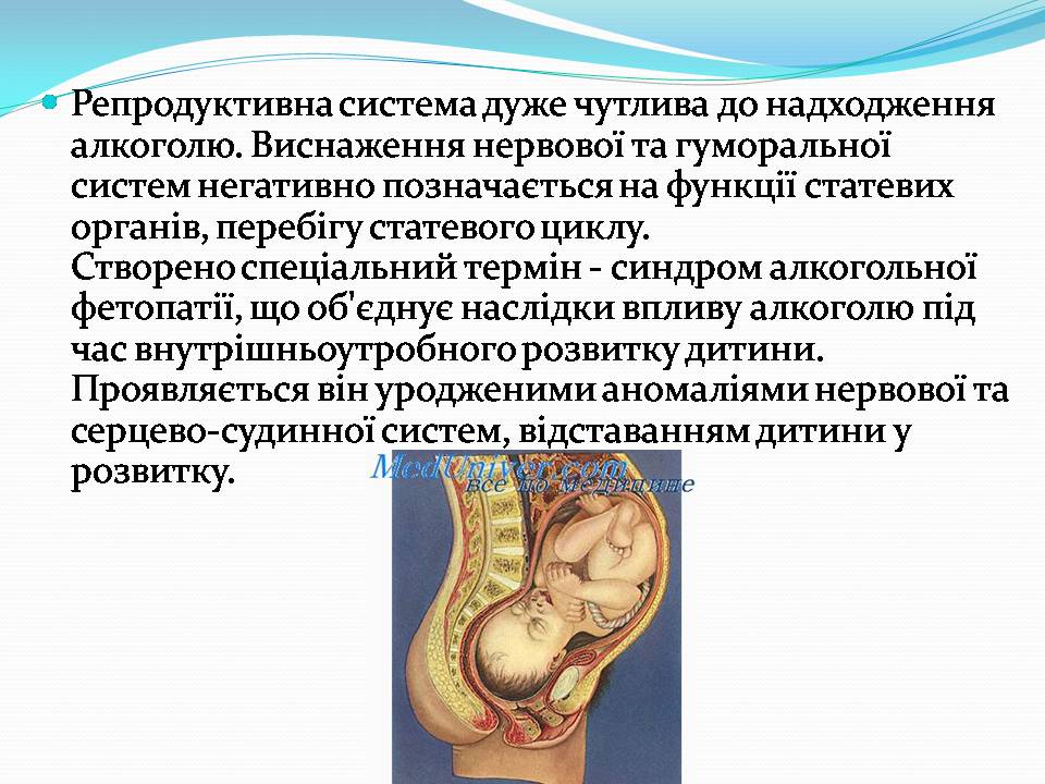 Презентація на тему «Вплив алкоголю на організм людини» (варіант 5) - Слайд #14