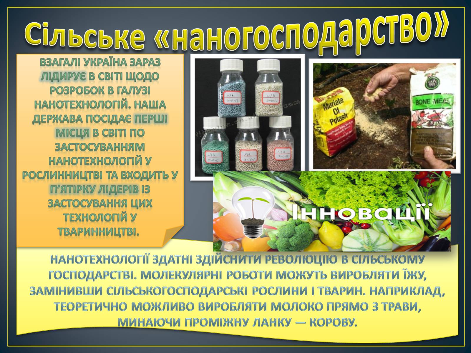 Презентація на тему «Новітні нанотехнології - крок у майбутнє» - Слайд #10