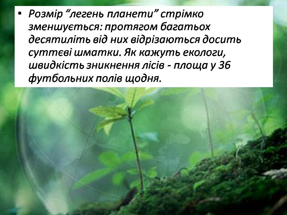 Презентація на тему «Знищення лісів» (варіант 2) - Слайд #13