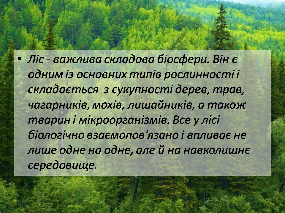 Презентація на тему «Знищення лісів» (варіант 2) - Слайд #3