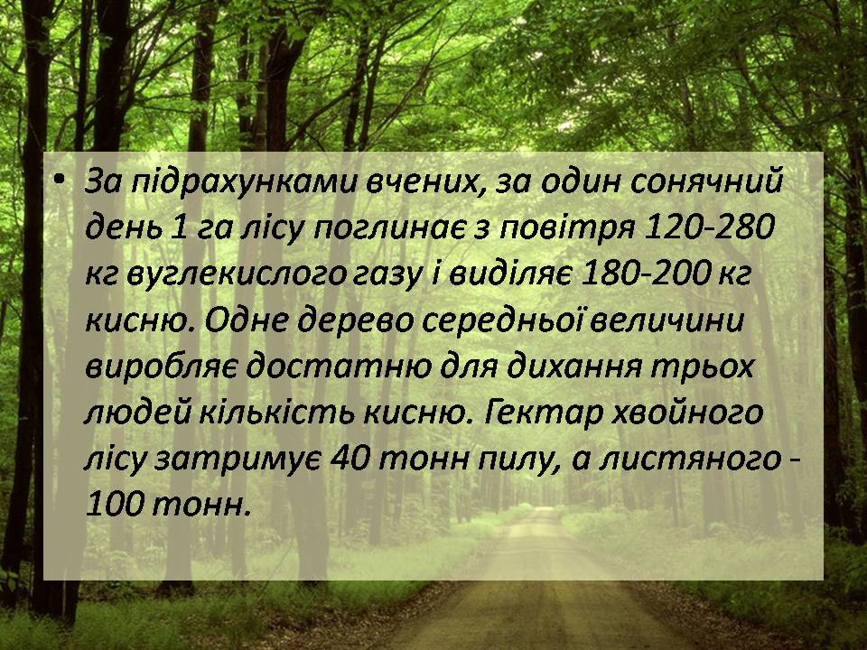 Презентація на тему «Знищення лісів» (варіант 2) - Слайд #6