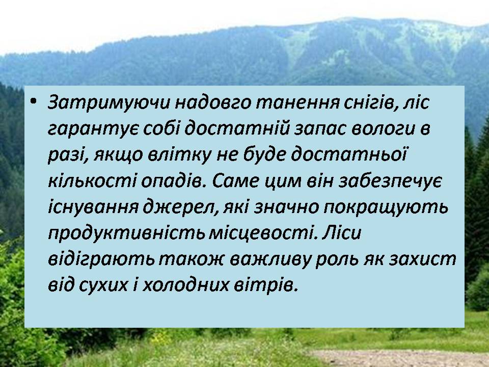 Презентація на тему «Знищення лісів» (варіант 2) - Слайд #7