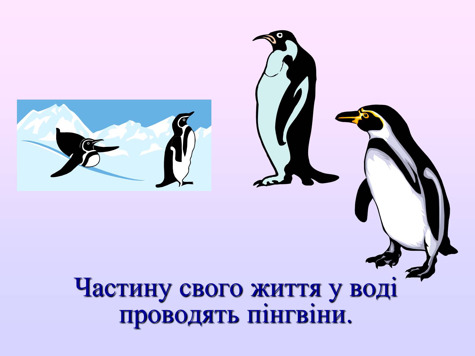 Презентація на тему «Взаємозв&#8217;язки в природі» - Слайд #22