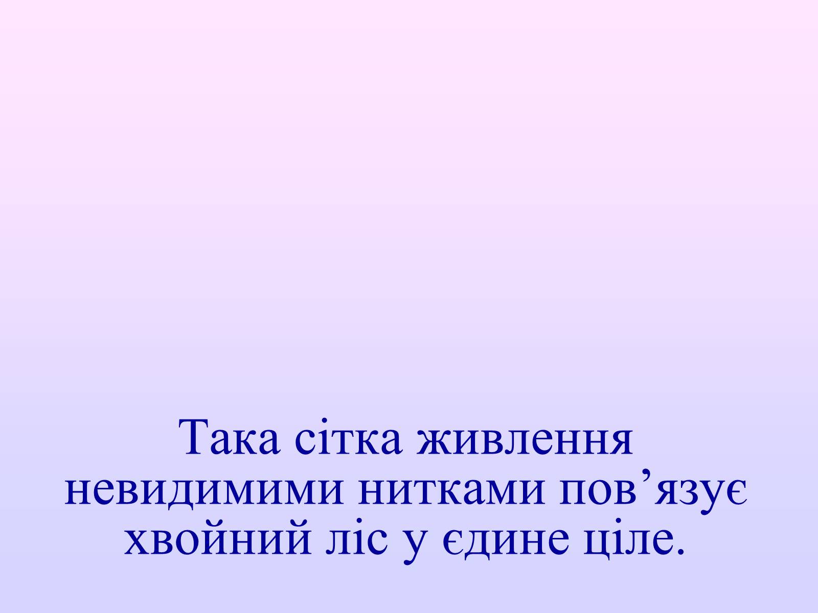 Презентація на тему «Взаємозв&#8217;язки в природі» - Слайд #34