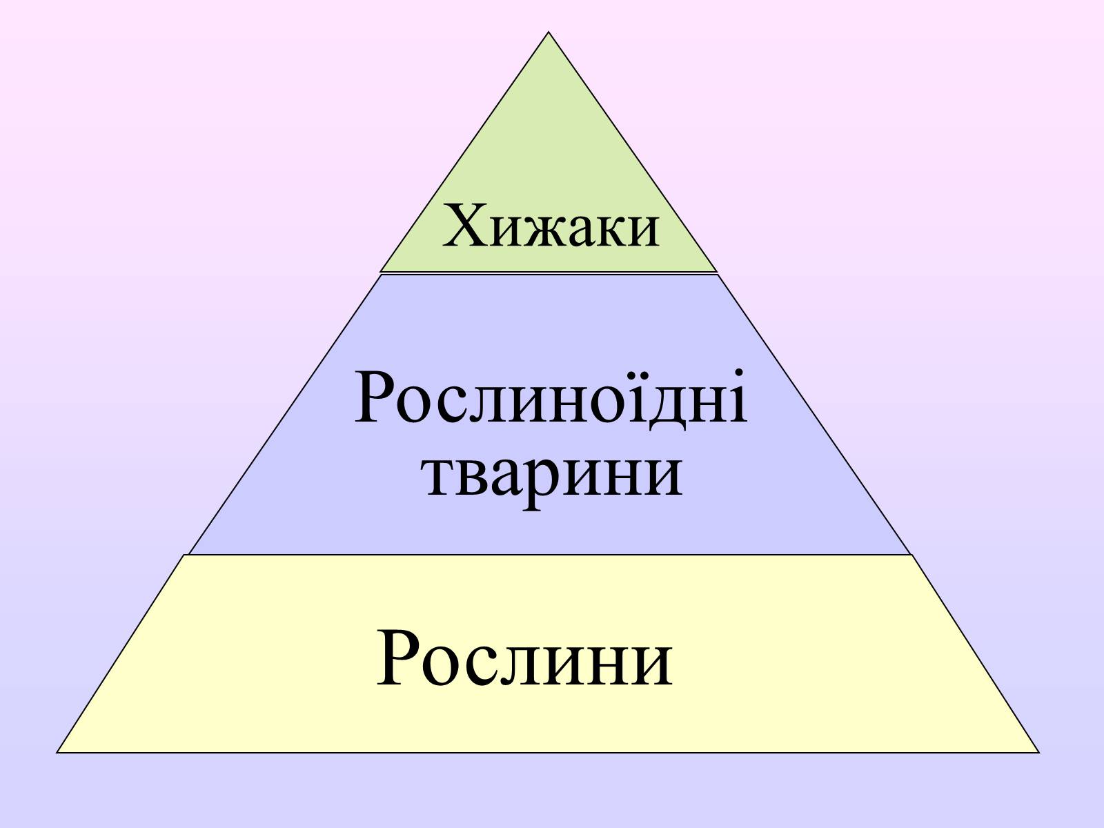 Презентація на тему «Взаємозв&#8217;язки в природі» - Слайд #35