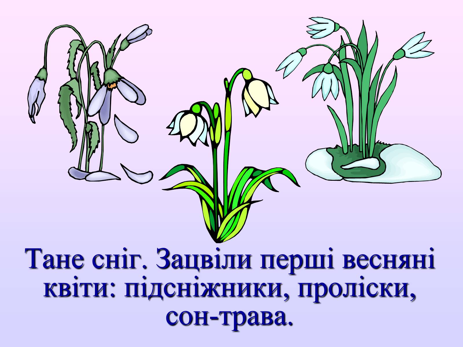 Презентація на тему «Взаємозв&#8217;язки в природі» - Слайд #4