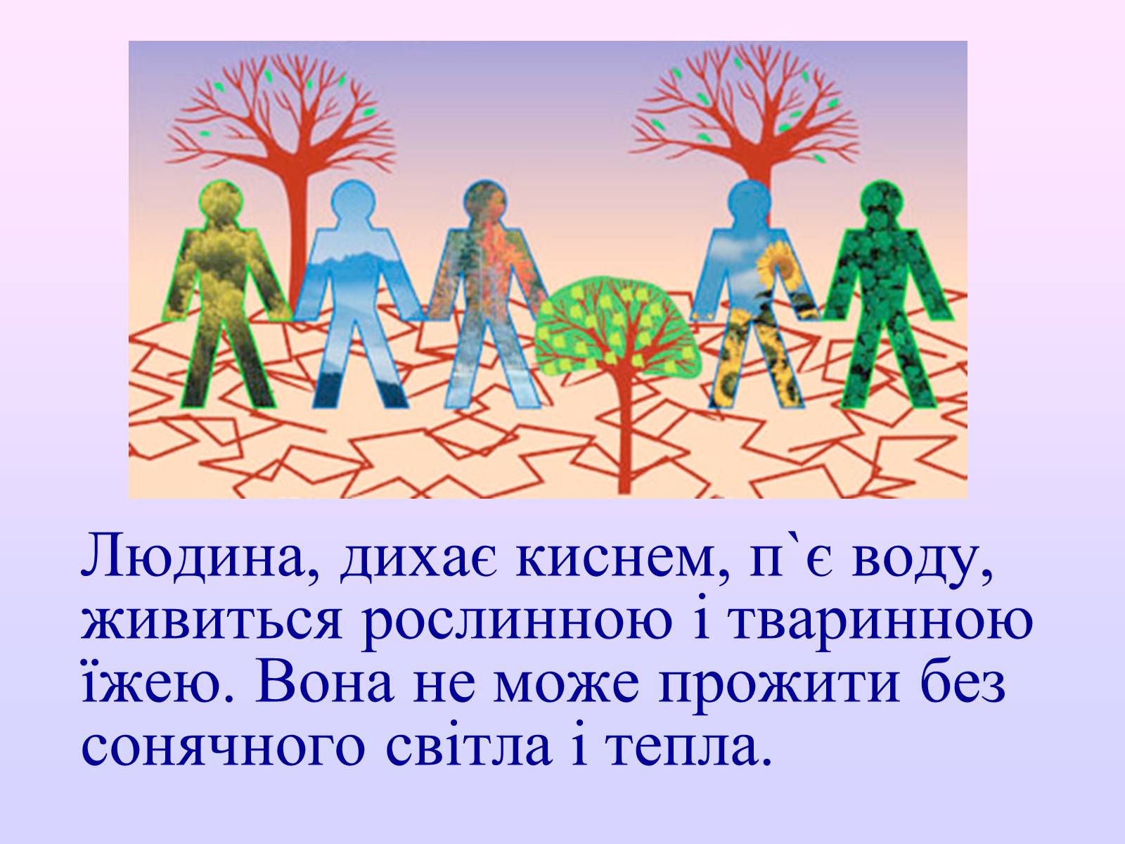 Презентація на тему «Взаємозв&#8217;язки в природі» - Слайд #40