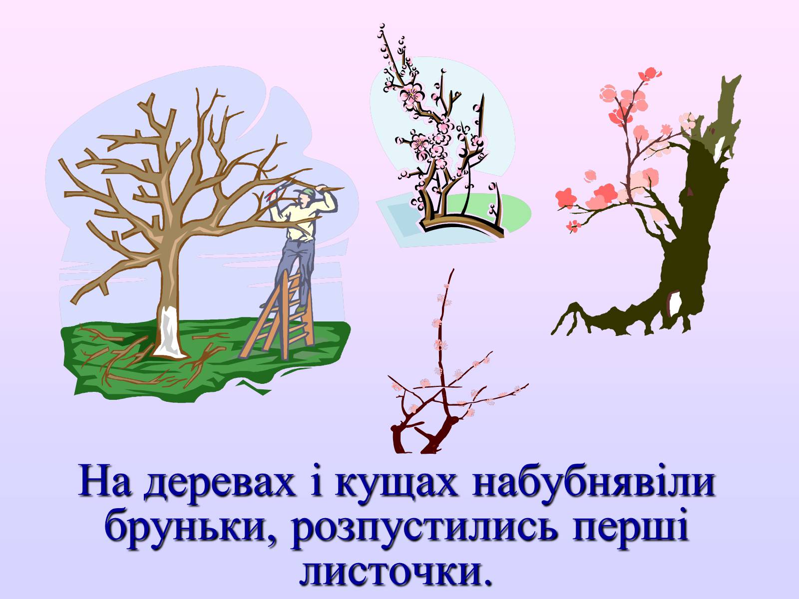 Презентація на тему «Взаємозв&#8217;язки в природі» - Слайд #5