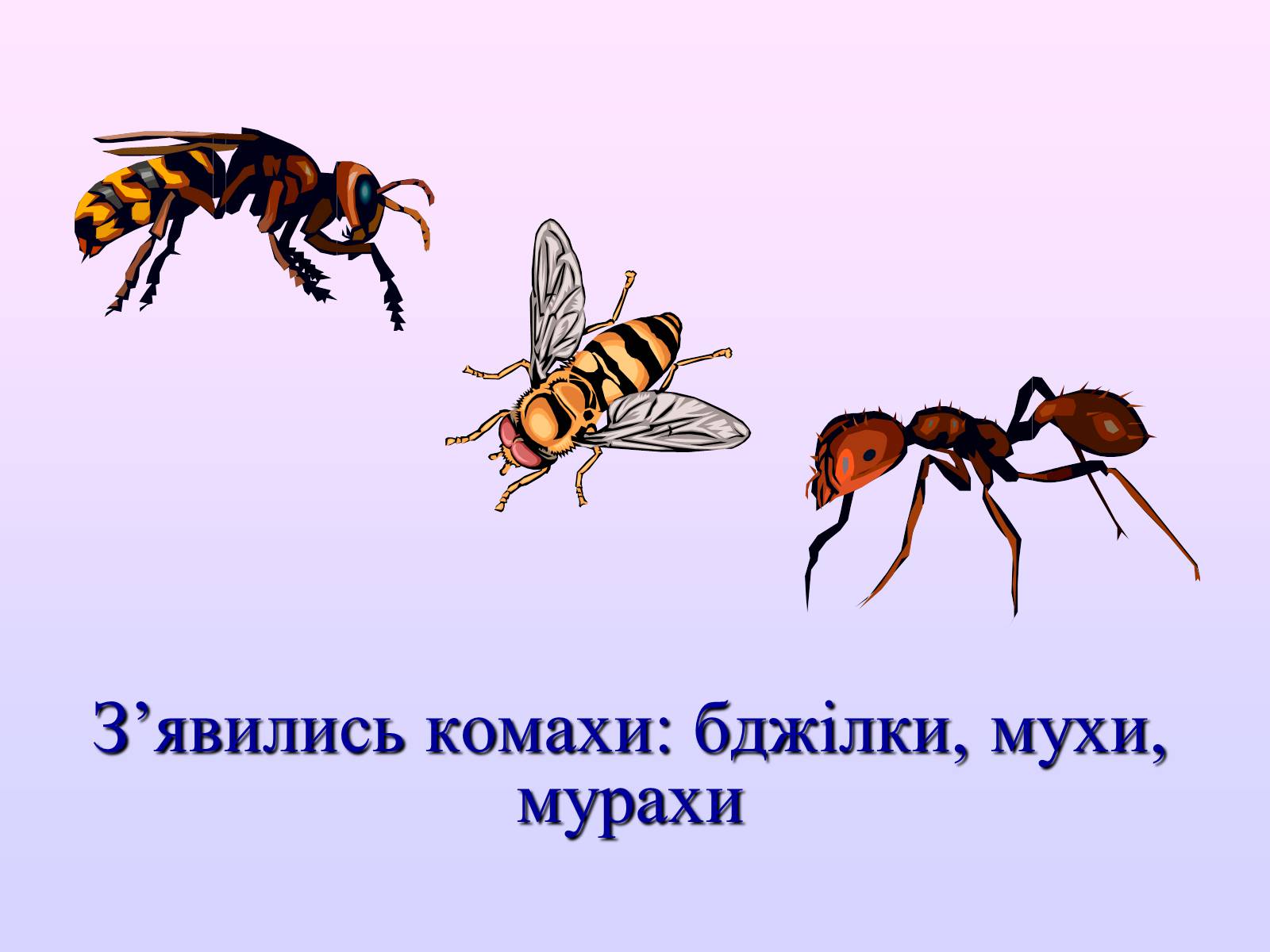 Презентація на тему «Взаємозв&#8217;язки в природі» - Слайд #6