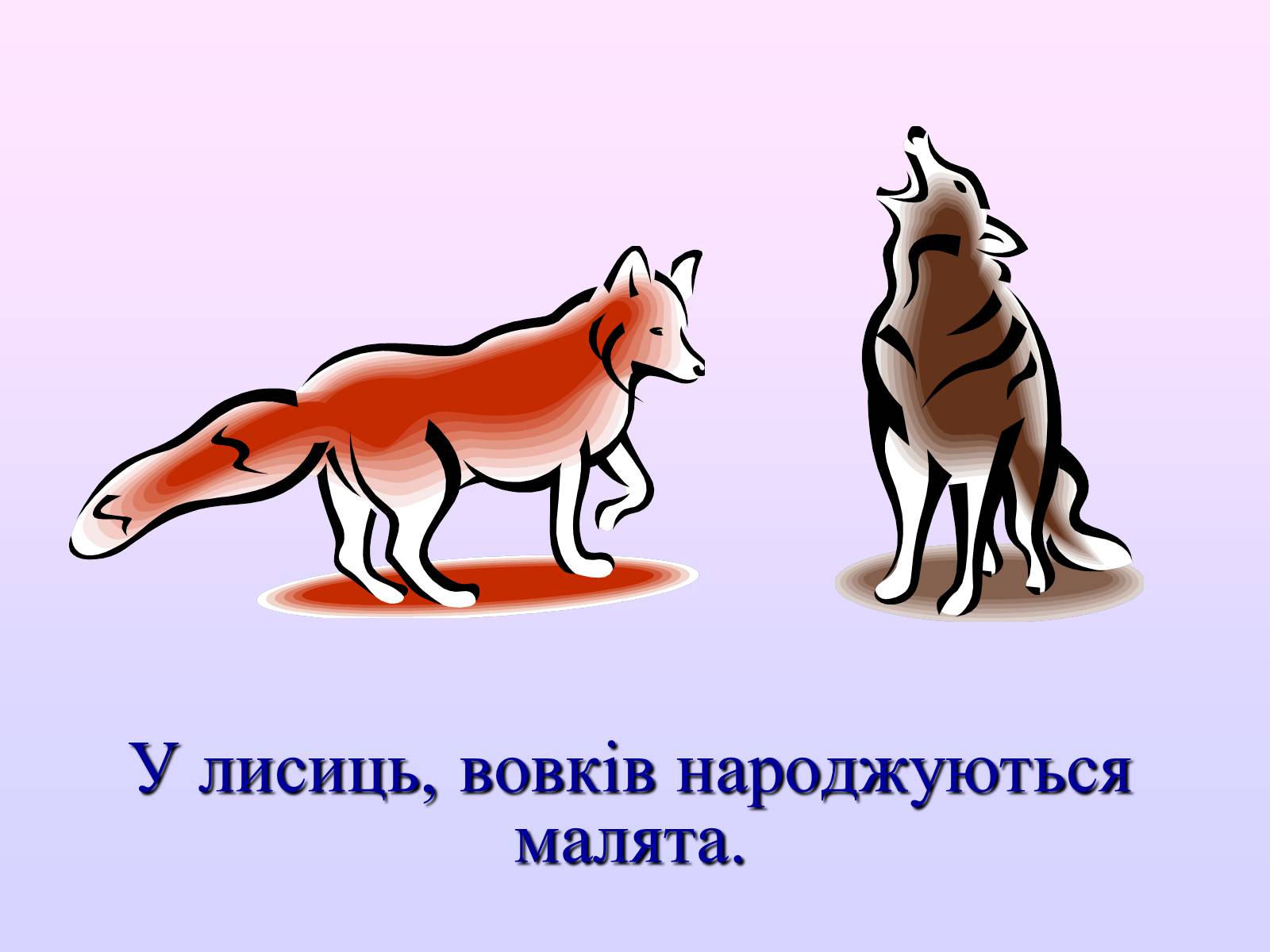 Презентація на тему «Взаємозв&#8217;язки в природі» - Слайд #9