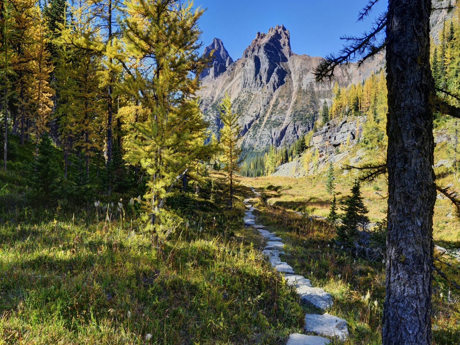 Презентація на тему «World Heritage Sites in Canada» - Слайд #17