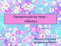 Презентація на тему «Мило» (варіант 11)