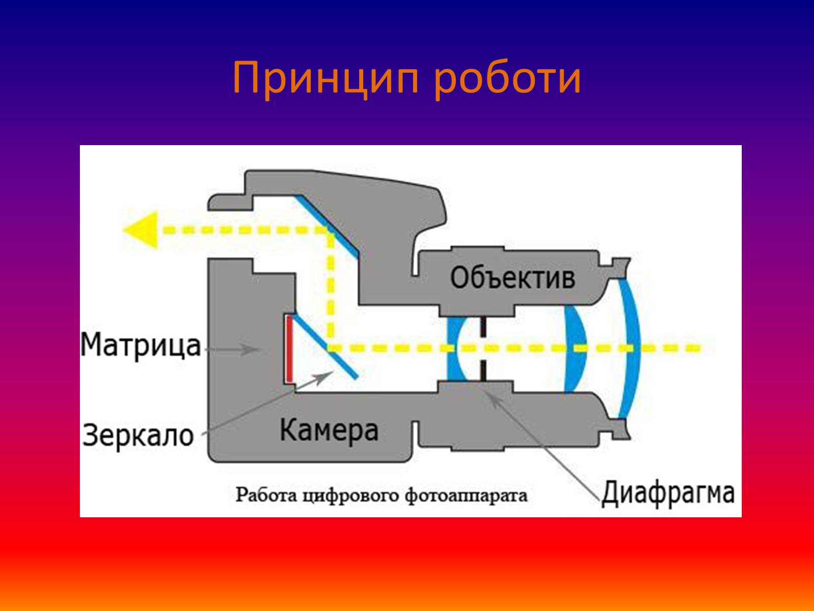 Презентація на тему «Фотоапарат» (варіант 2) - Слайд #4