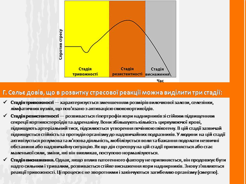 Презентація на тему «Стрес» (варіант 3) - Слайд #4