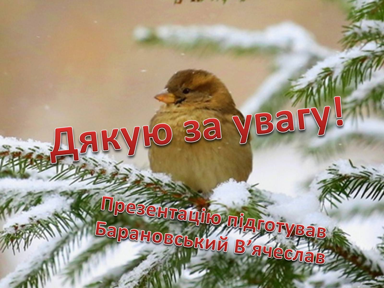 Презентація на тему «Годівнички для птахів» - Слайд #11