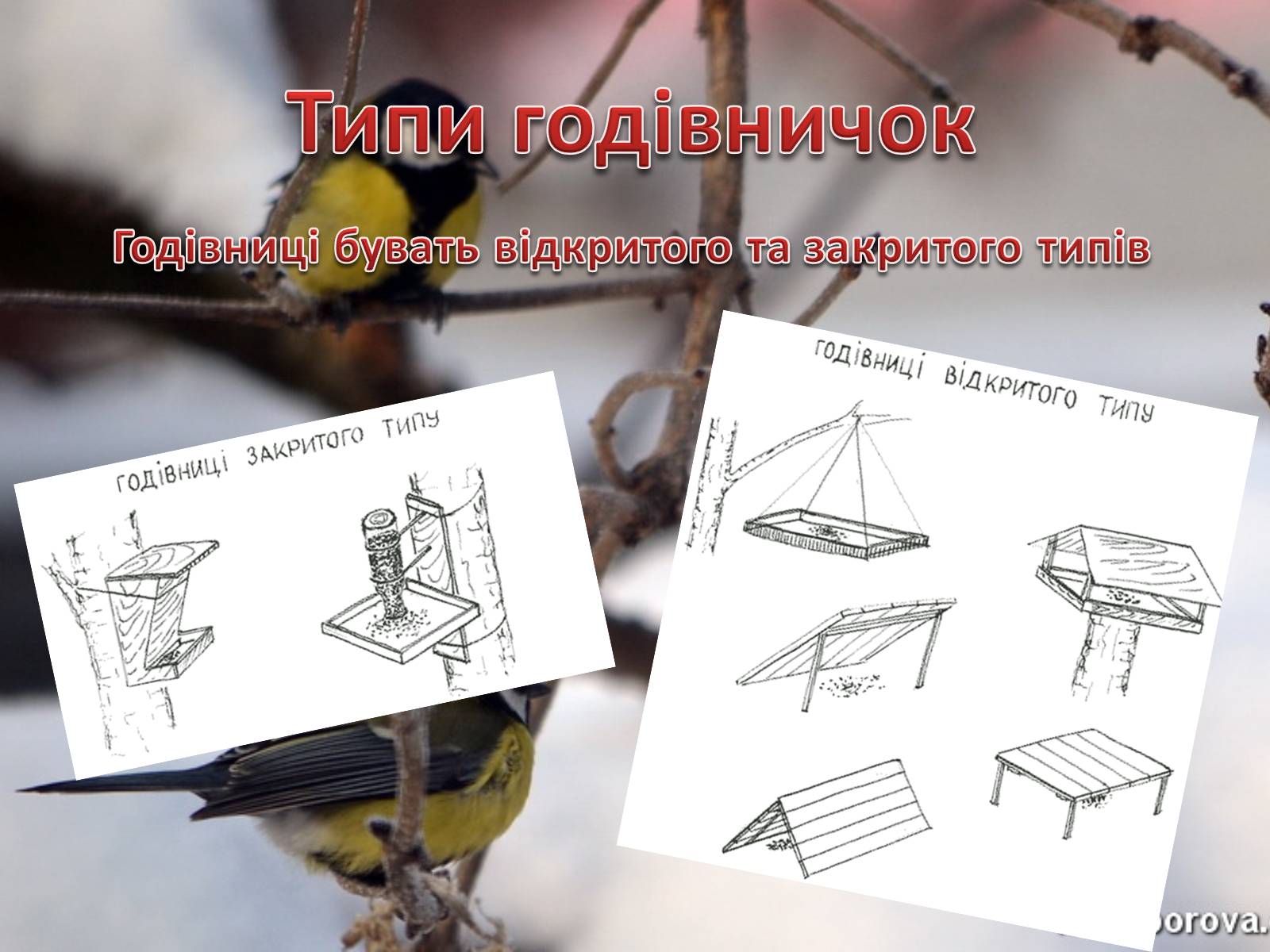 Презентація на тему «Годівнички для птахів» - Слайд #2