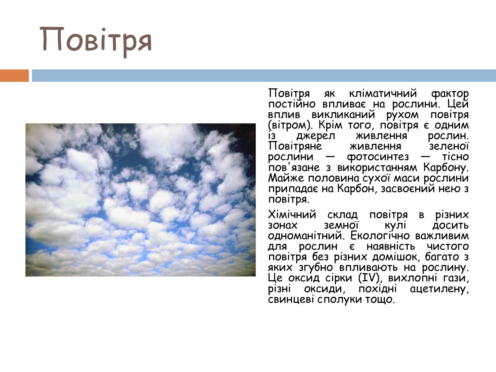 Презентація на тему «Екологічні фактори» (варіант 1) - Слайд #16