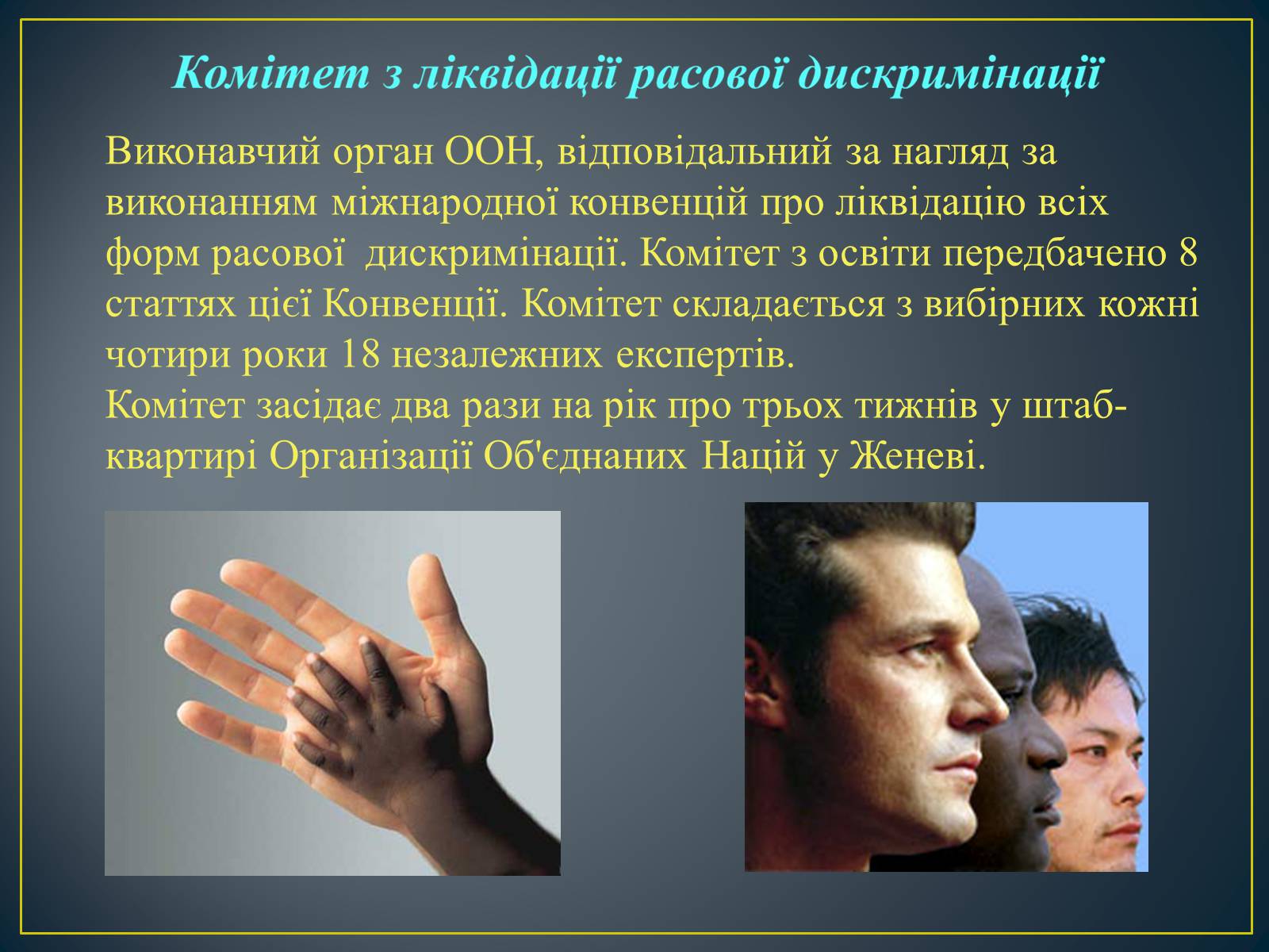 Презентація на тему «Міжнародні механізми захисту прав людини» (варіант 2) - Слайд #14