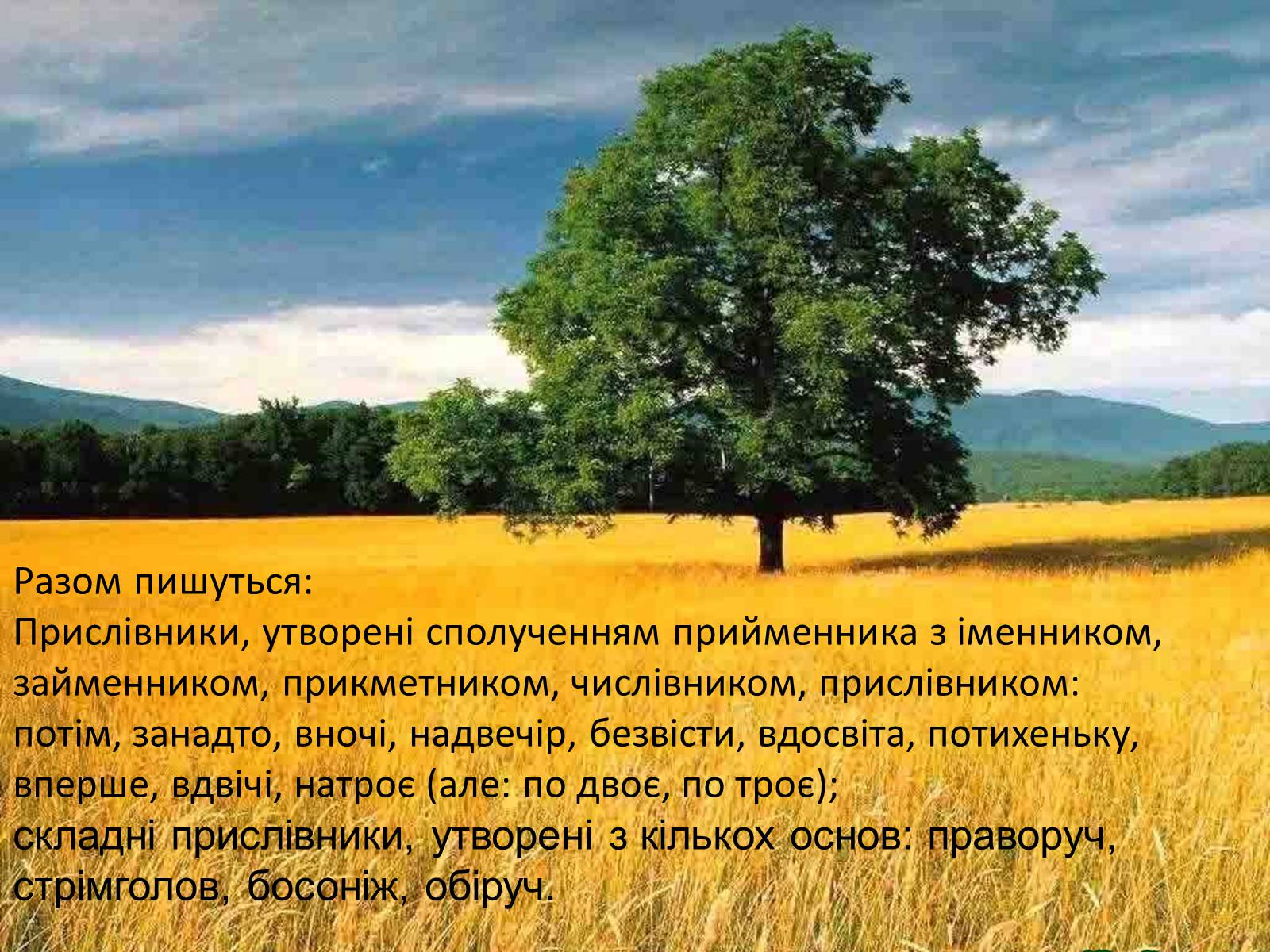 Презентація на тему «Прислівник самостійна незмінна частина мови» - Слайд #14