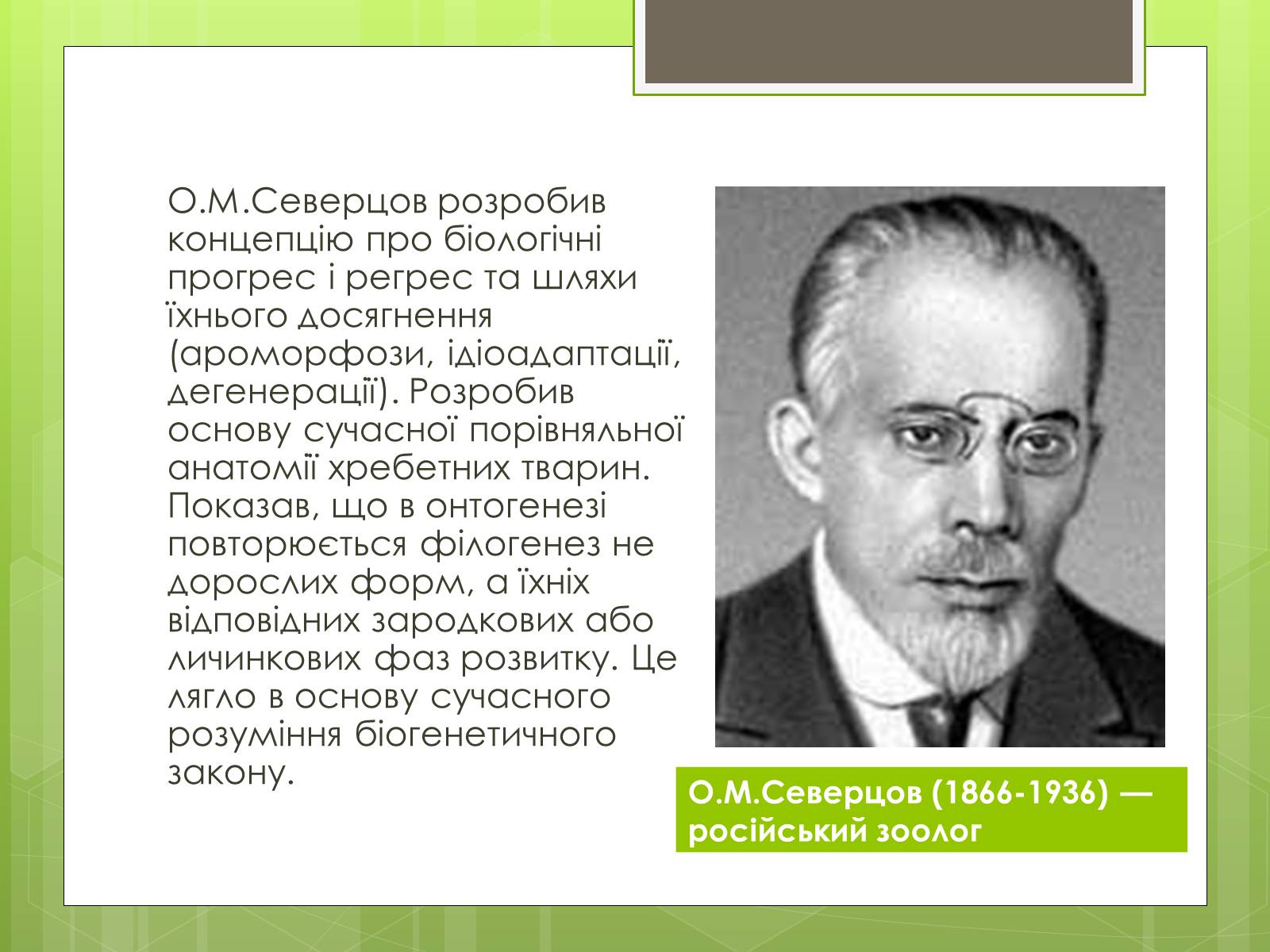 Презентація на тему «Синтетична теорія еволюції» (варіант 2) - Слайд #10