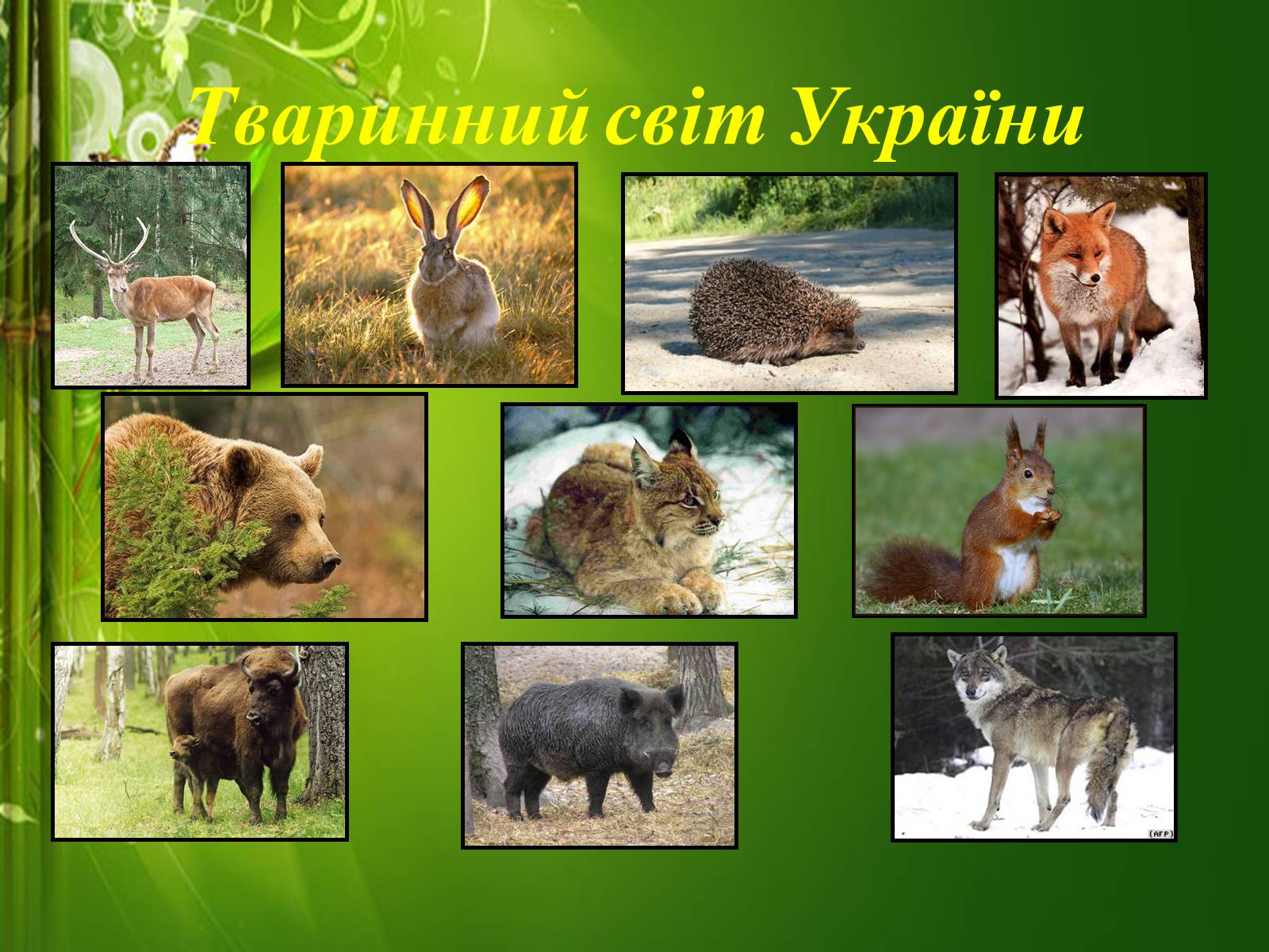 Презентація на тему «Твоя країна — Україна, і ти — її громадянин» - Слайд #22