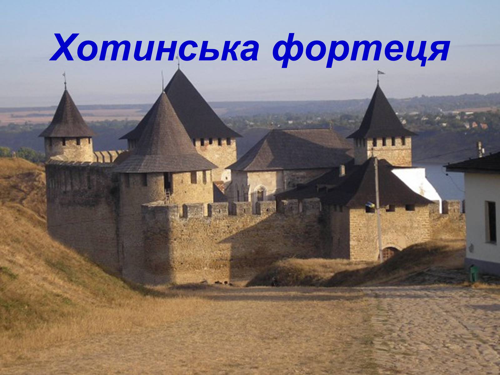 Презентація на тему «Твоя країна — Україна, і ти — її громадянин» - Слайд #8