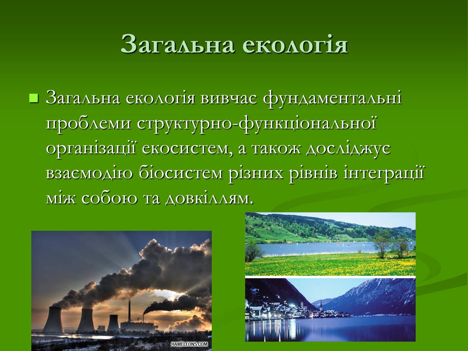 Презентація на тему «Структура сучасної екології та її місце в системі наук» (варіант 1) - Слайд #6