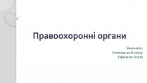 Презентація на тему «Правоохоронні органи»