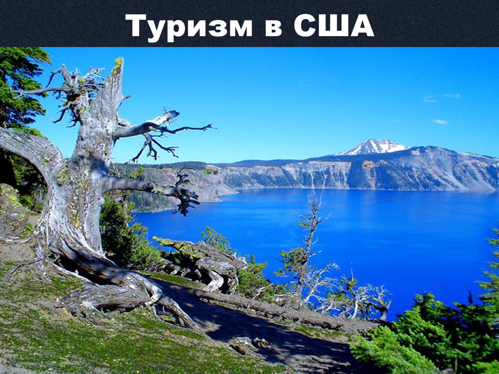 Презентація на тему «Экономика США» - Слайд #16