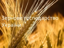 Презентація на тему «Зернове господарство України»