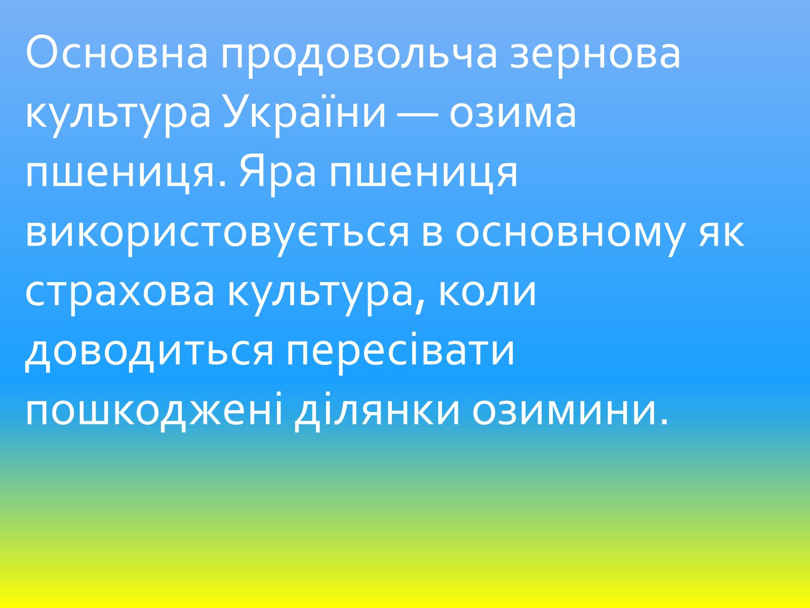 Презентація на тему «Зернове господарство України» - Слайд #12