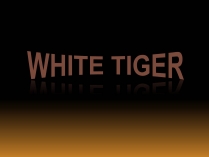 Презентація на тему «White Tiger»