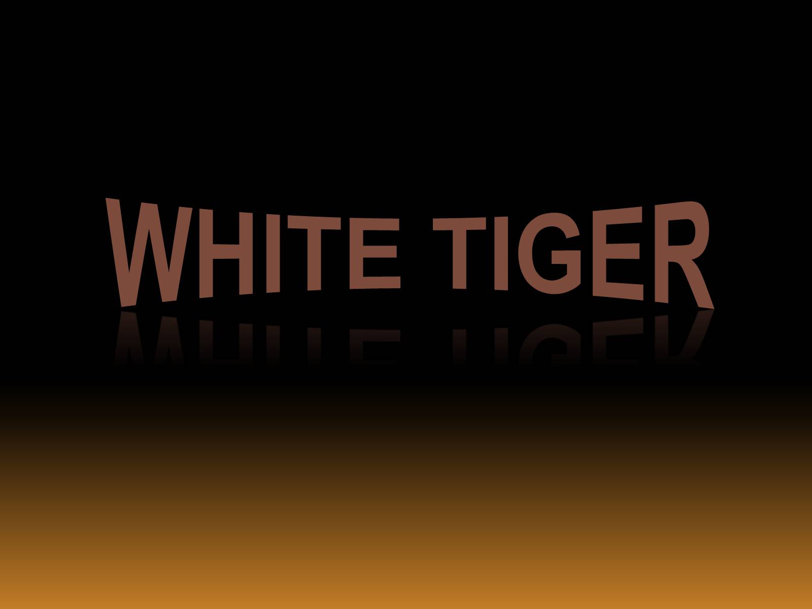 Презентація на тему «White Tiger» - Слайд #1