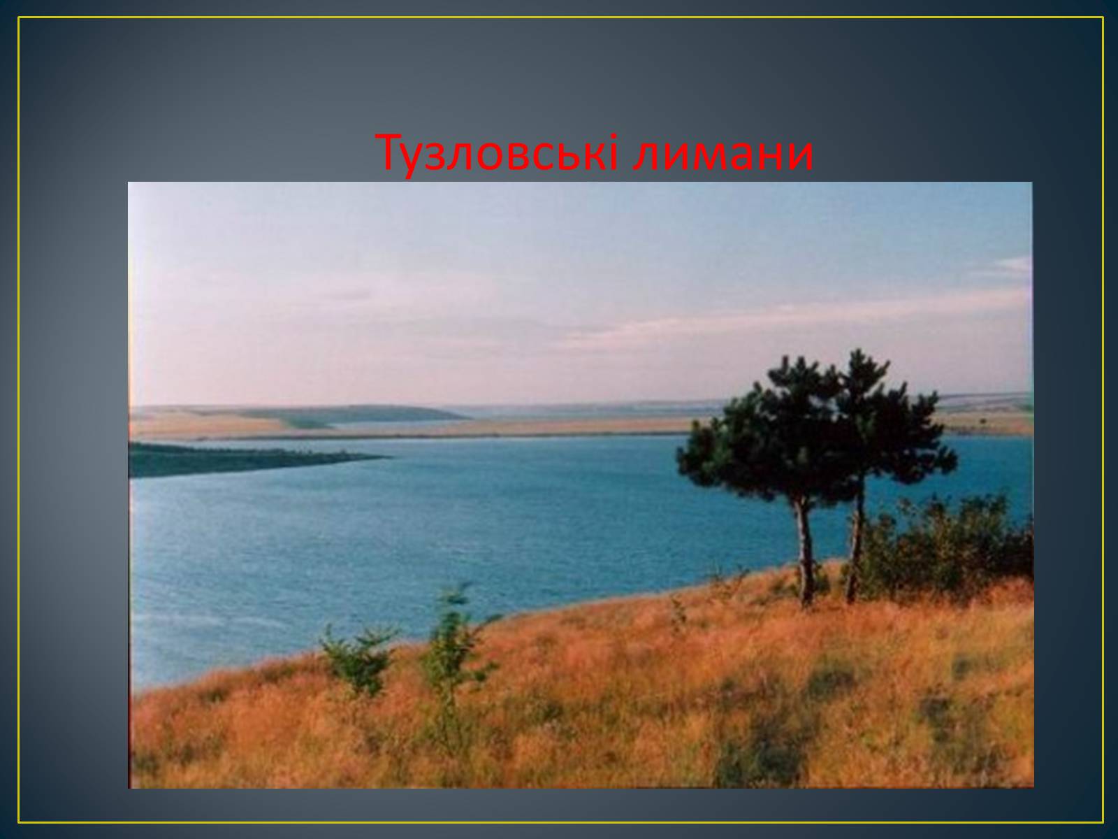 Презентація на тему «Екологічна ситуація в Україні» (варіант 1) - Слайд #42