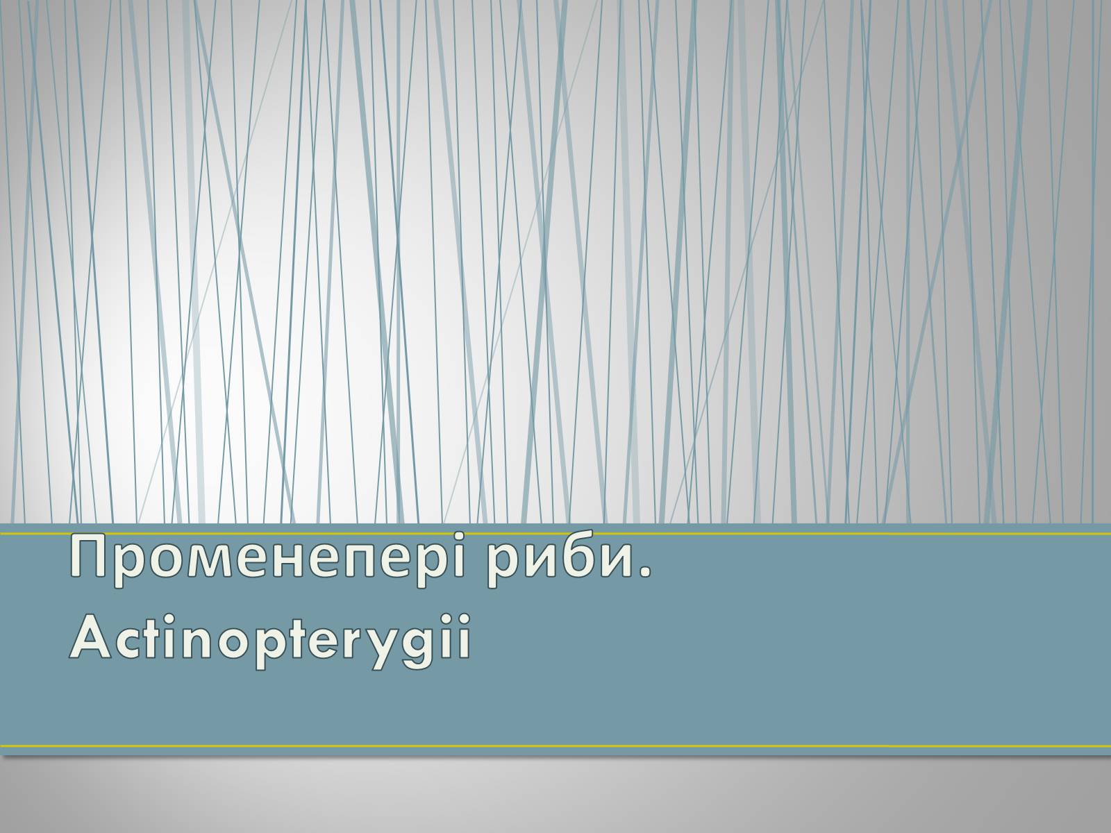 Презентація на тему «Екологічна ситуація в Україні» (варіант 1) - Слайд #72